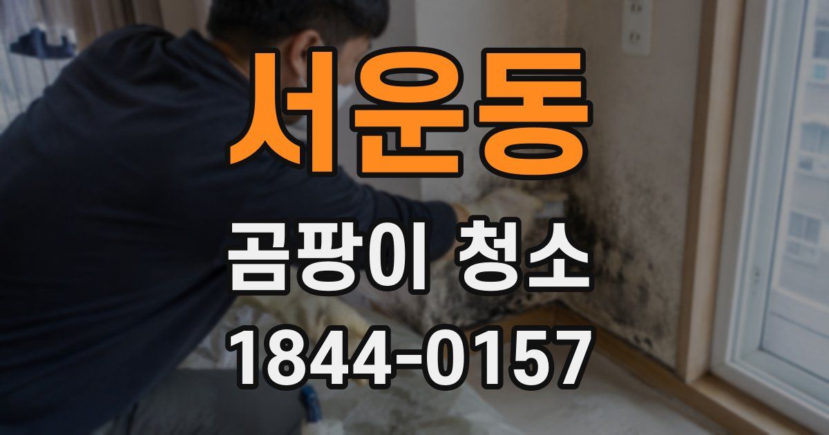 서운동 곰팡이 청소