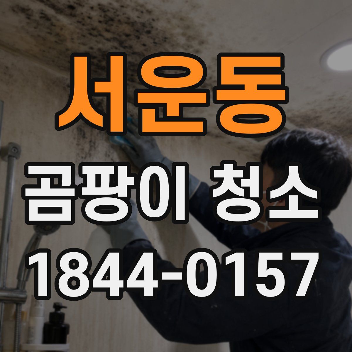 서운동 곰팡이 청소