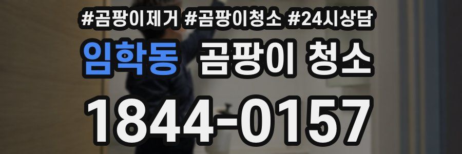 임학동 곰팡이 청소