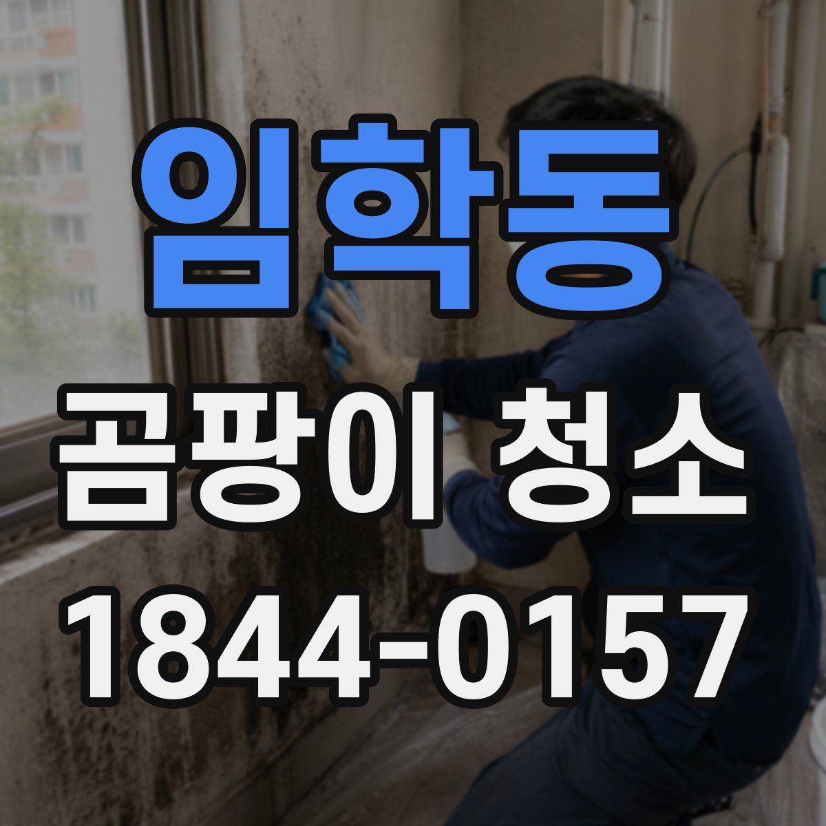 임학동 곰팡이 청소