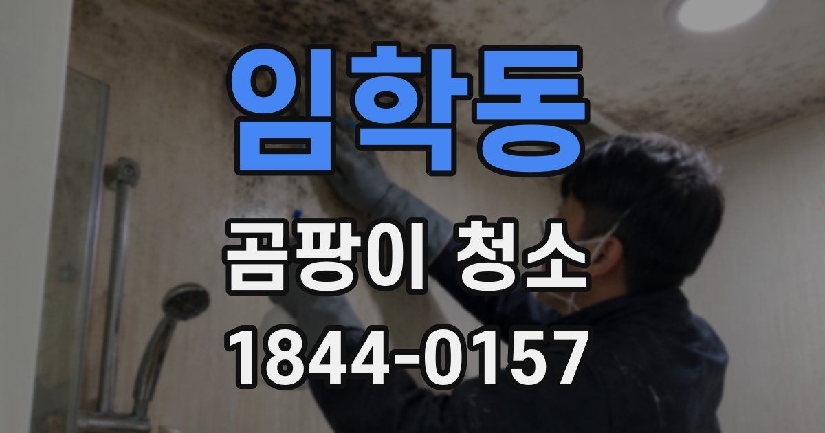 임학동 곰팡이 청소