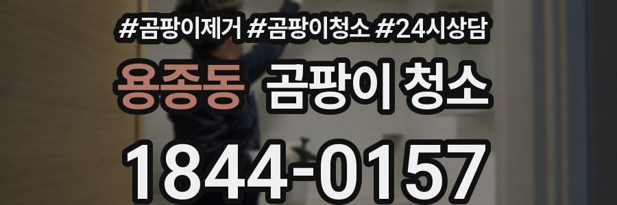 용종동 곰팡이 청소