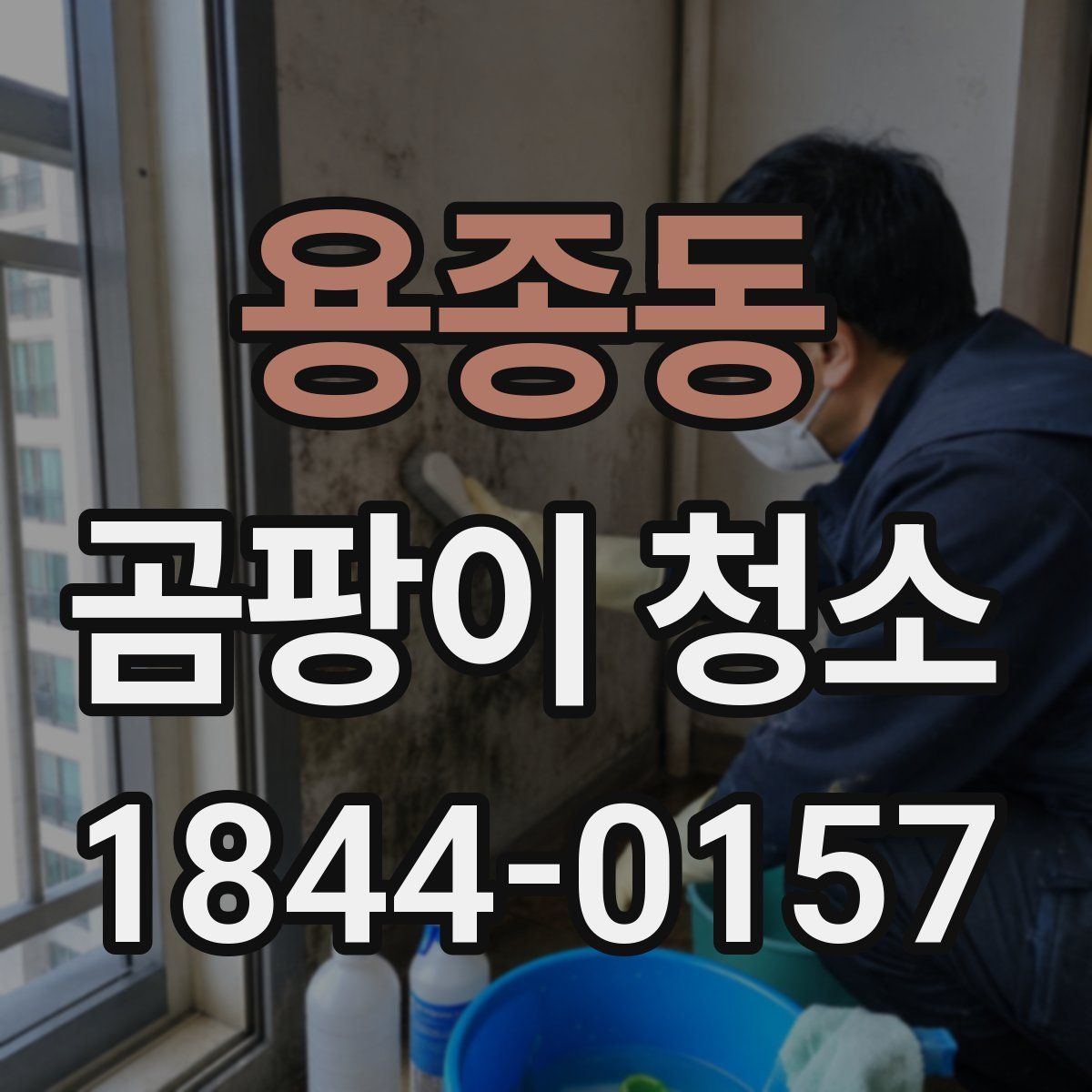 용종동 곰팡이 청소