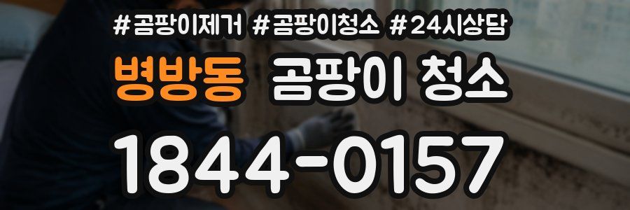 병방동 곰팡이 청소