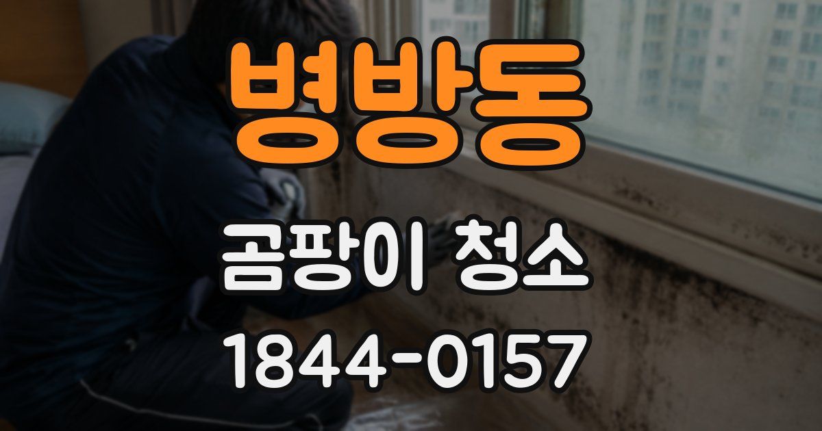병방동 곰팡이 청소
