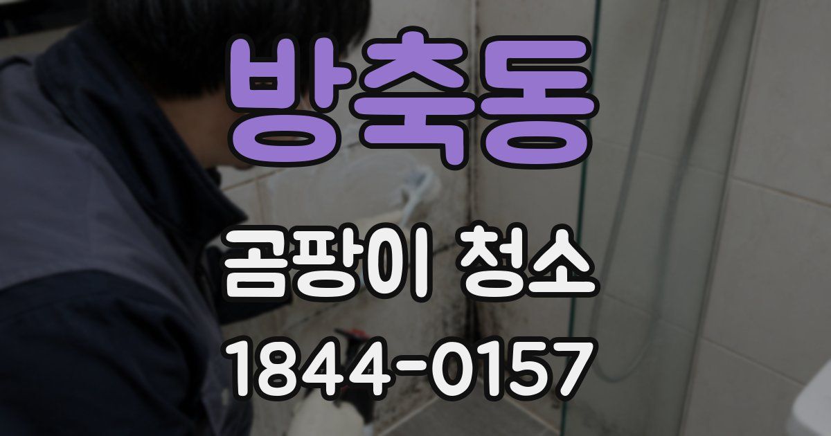 방축동 곰팡이 청소