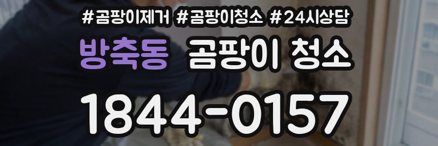 방축동 곰팡이 청소