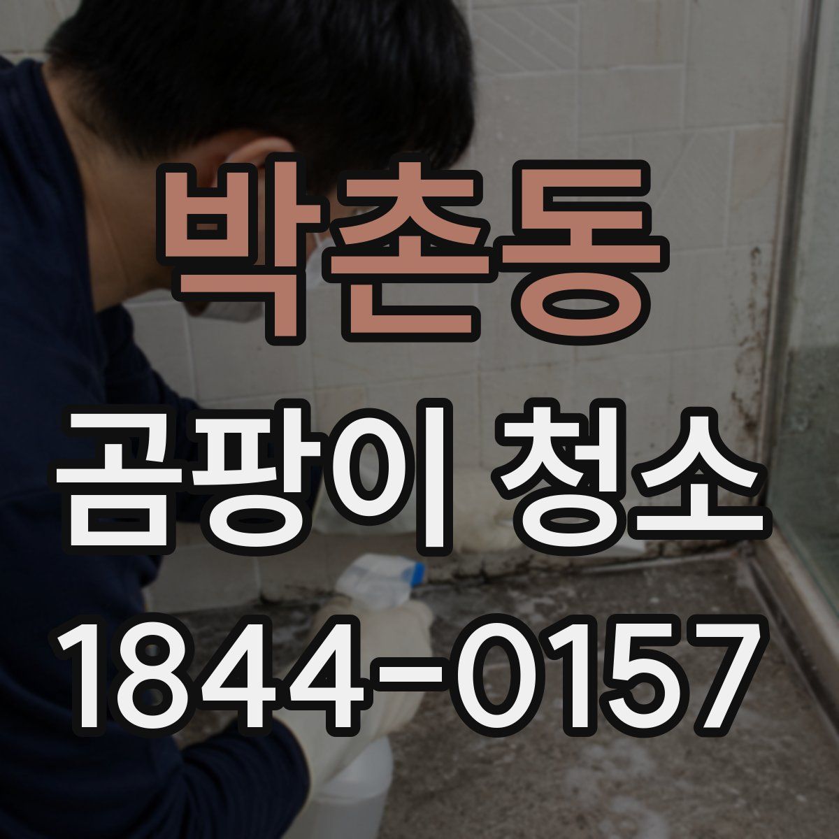 박촌동 곰팡이 청소