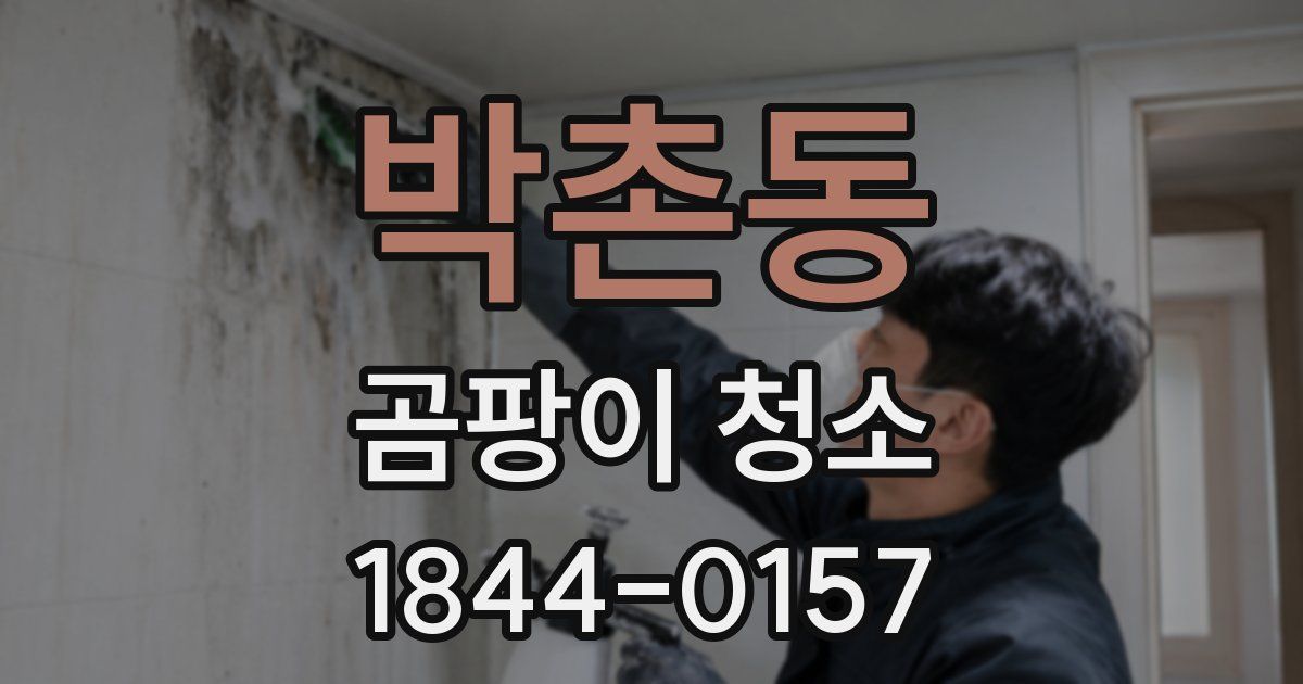 박촌동 곰팡이 청소