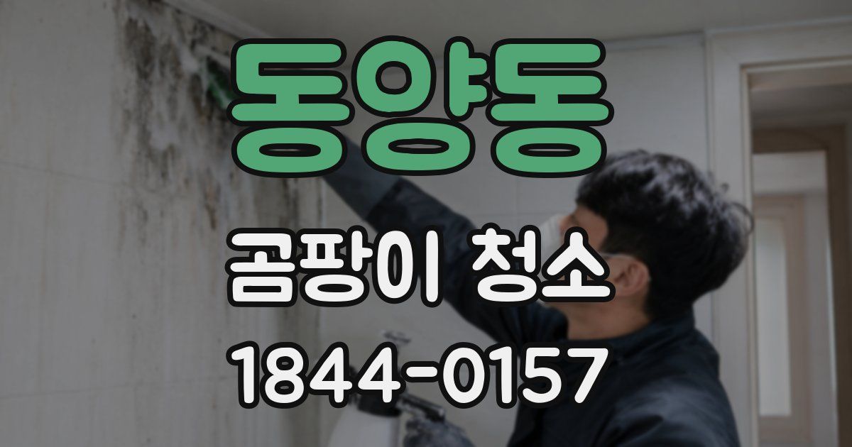 동양동 곰팡이 청소