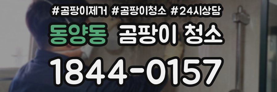 동양동 곰팡이 청소