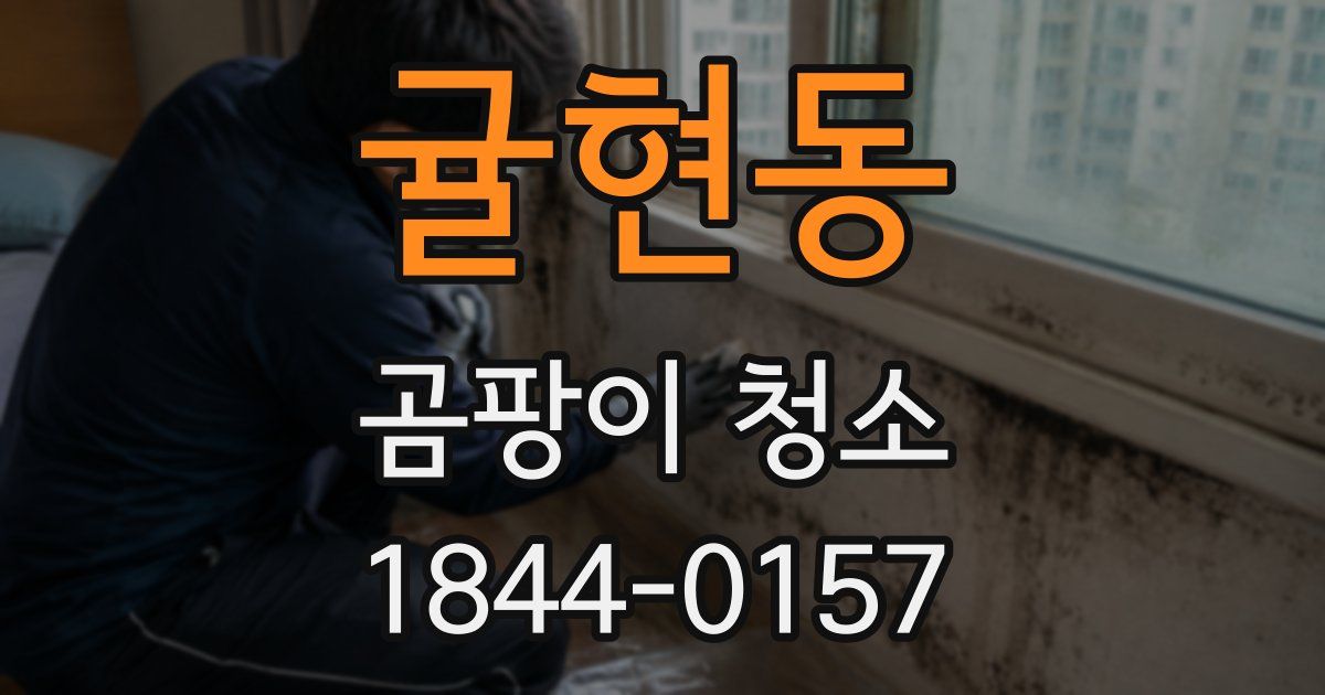 귤현동 곰팡이 청소