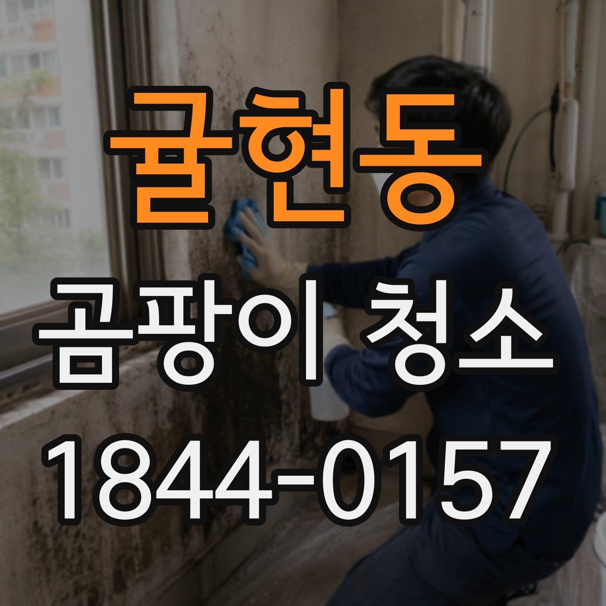 귤현동 곰팡이 청소