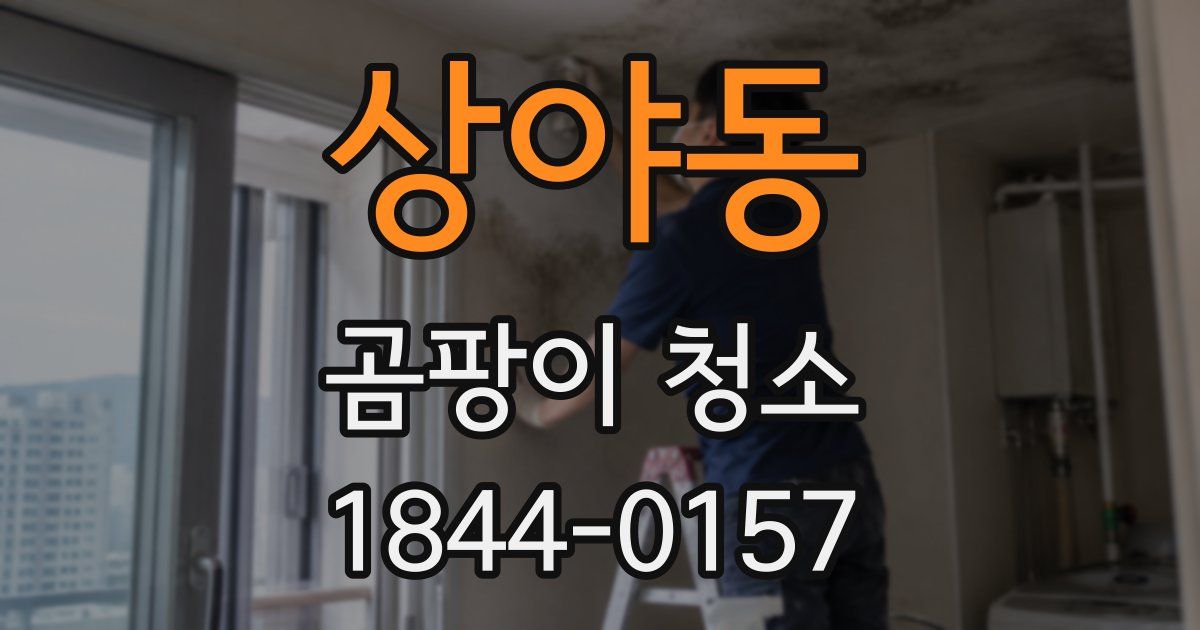 상야동 곰팡이 청소