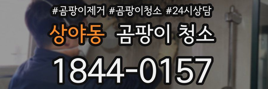 상야동 곰팡이 청소