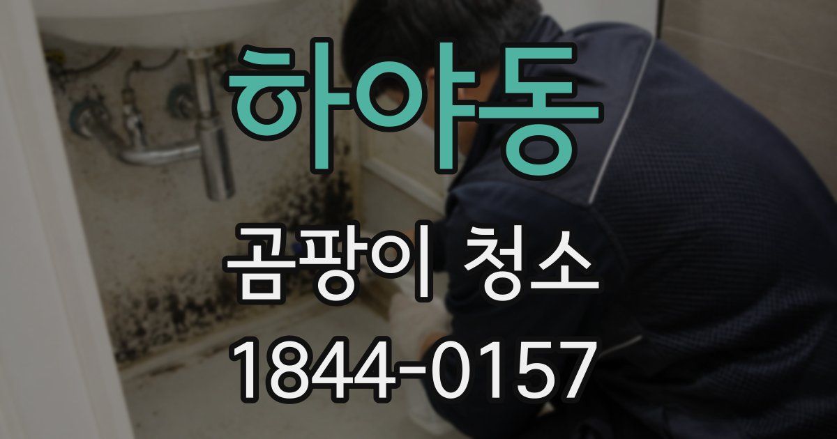 하야동 곰팡이 청소