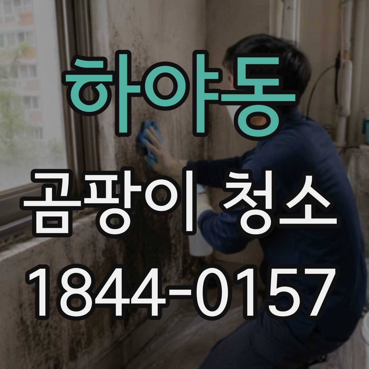 하야동 곰팡이 청소