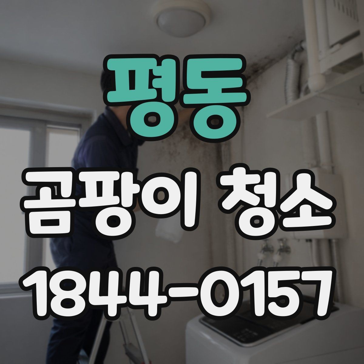 평동 곰팡이 청소 입주 전 점검해야 할 오염 포인트 정리