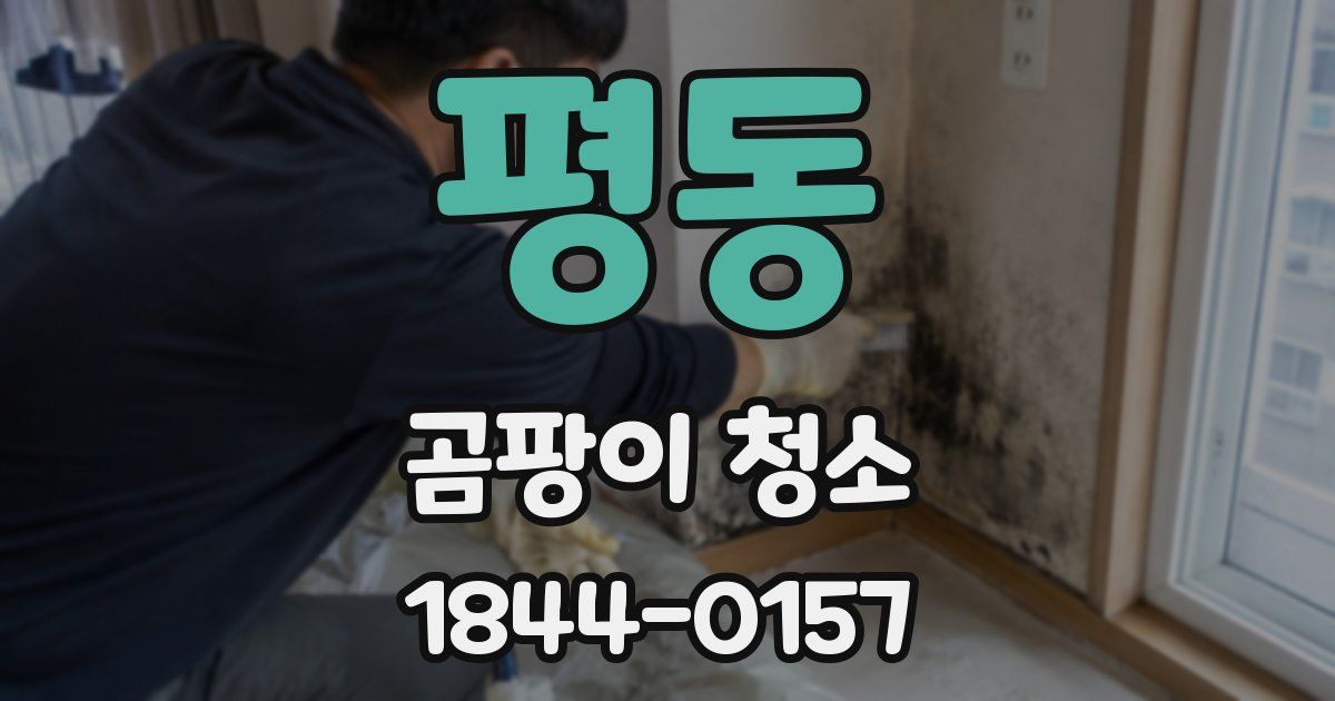 평동 곰팡이 청소