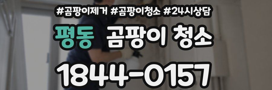 평동 곰팡이 청소