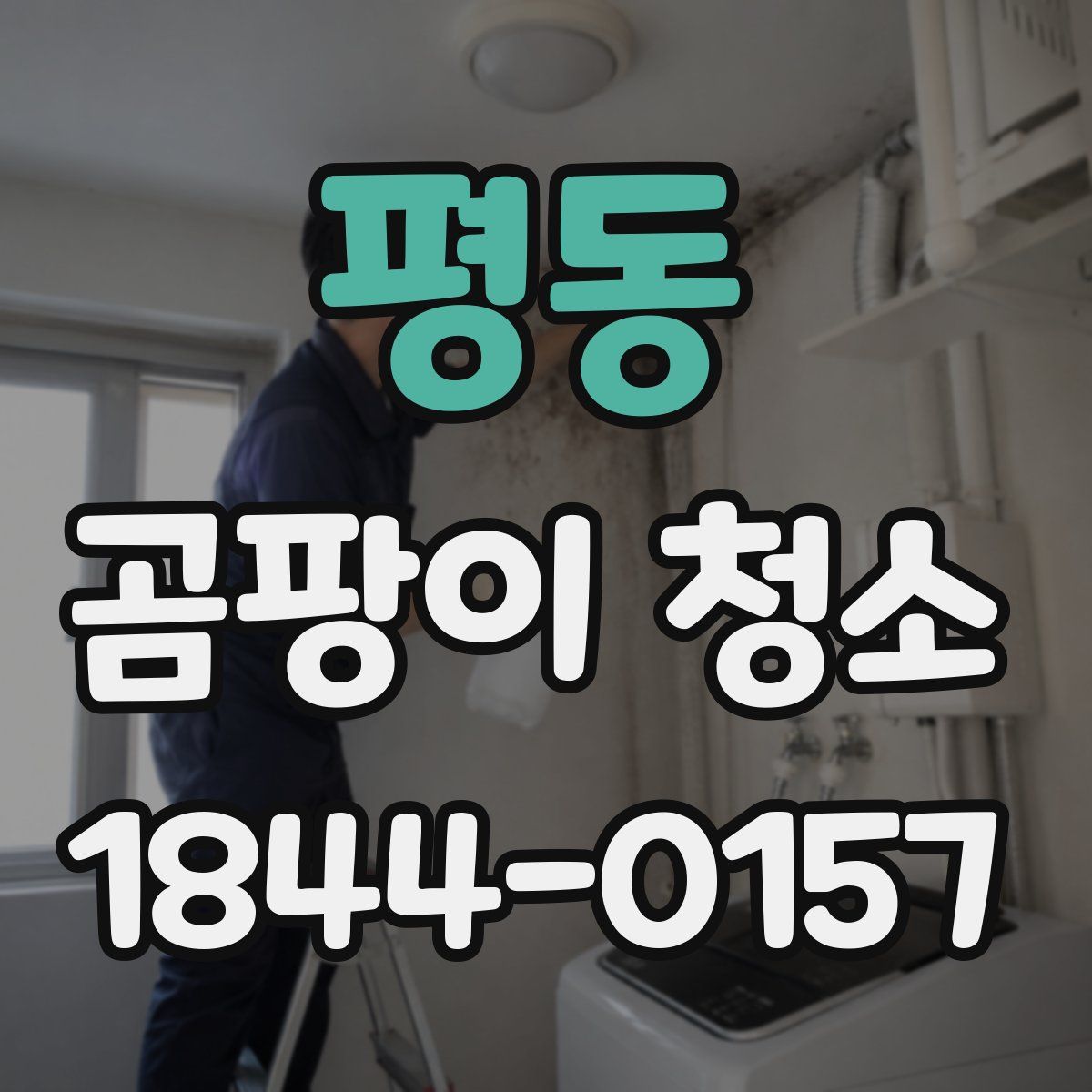 평동 곰팡이 청소