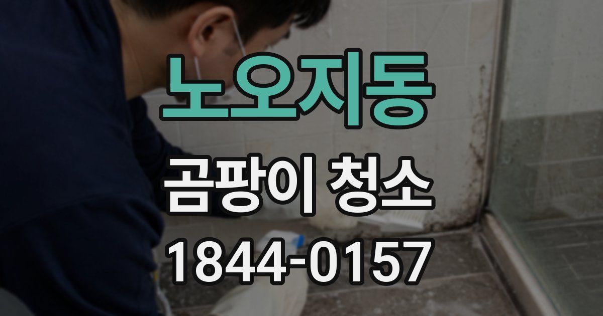 노오지동 곰팡이 청소