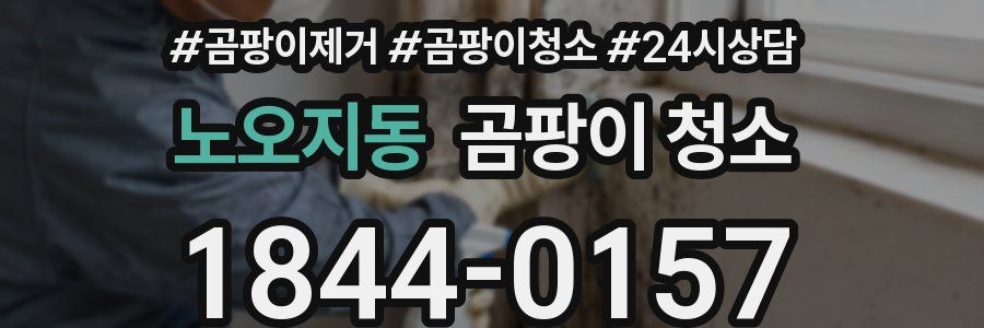 노오지동 곰팡이 청소