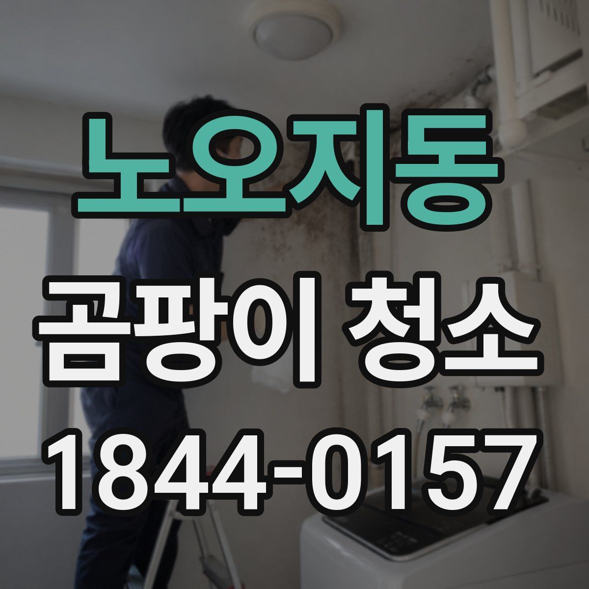 노오지동 곰팡이 청소