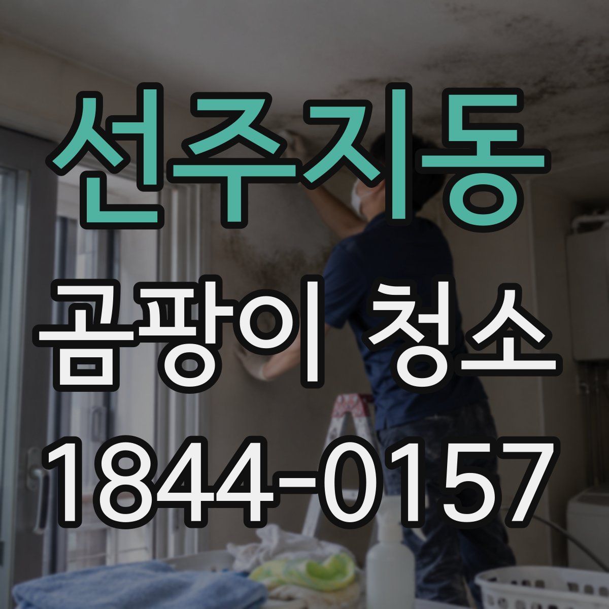 선주지동 곰팡이 청소