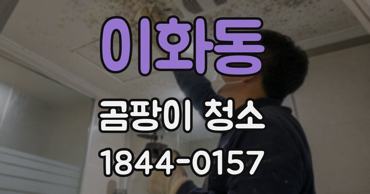 이화동 곰팡이 청소