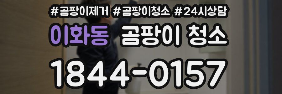 이화동 곰팡이 청소