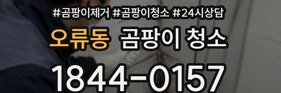 오류동 곰팡이 청소