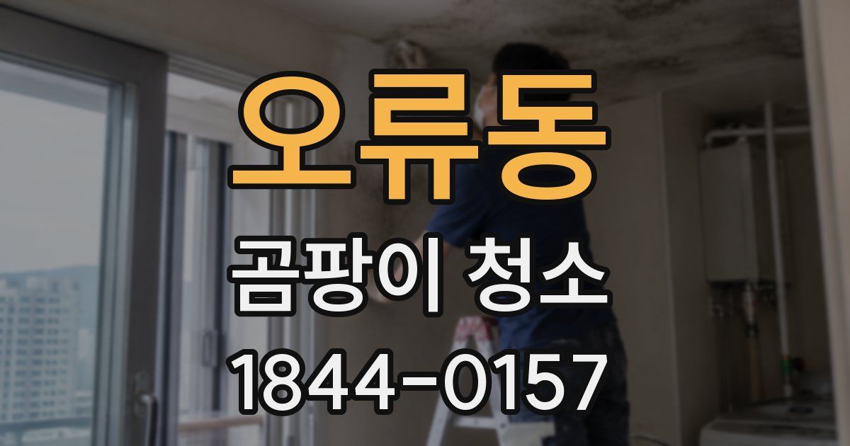 오류동 곰팡이 청소