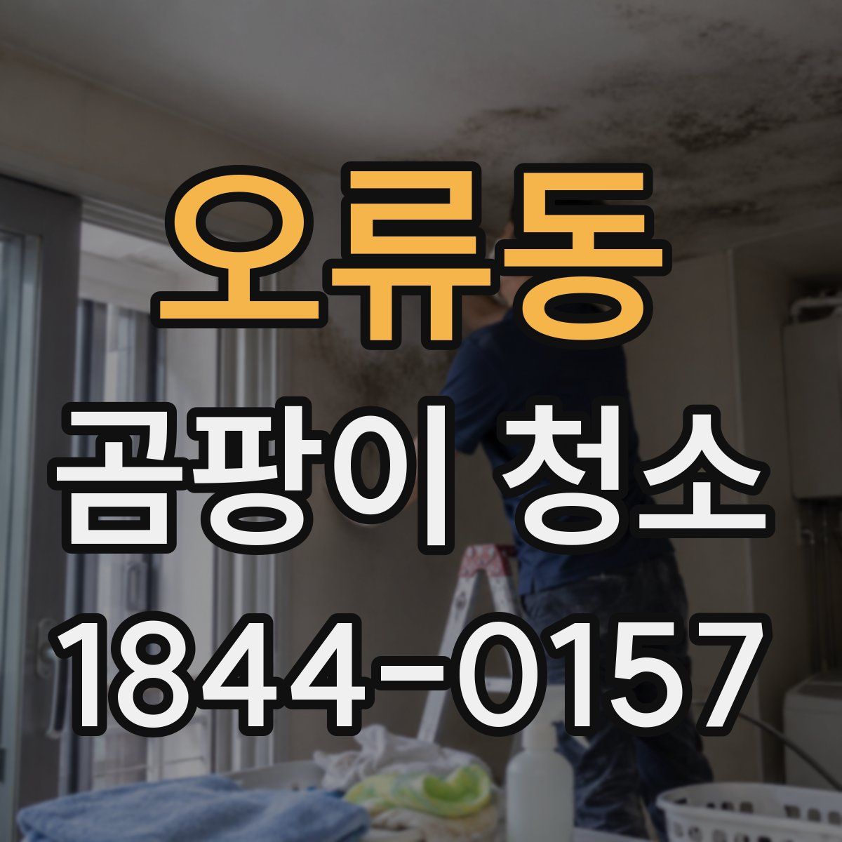 오류동 곰팡이 청소