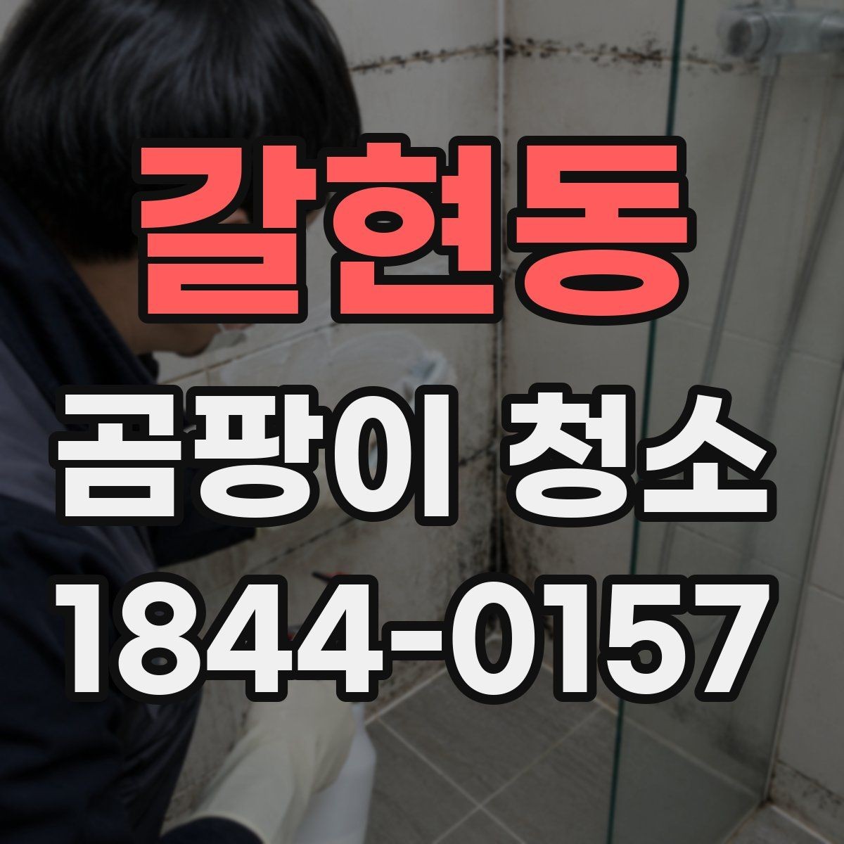 갈현동 곰팡이 청소 습도가 높은 집에서 자주 생기는 문제와 대처
