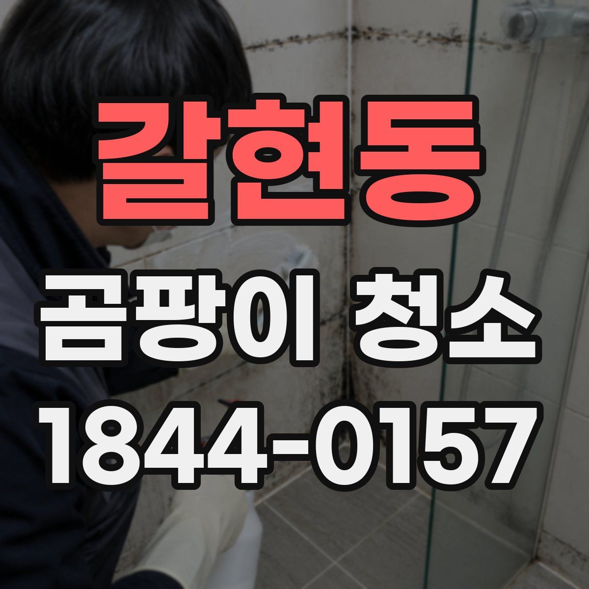 갈현동 곰팡이 청소