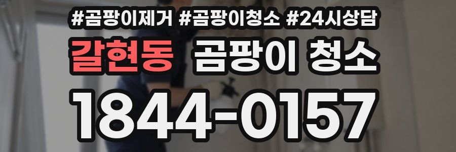 갈현동 곰팡이 청소