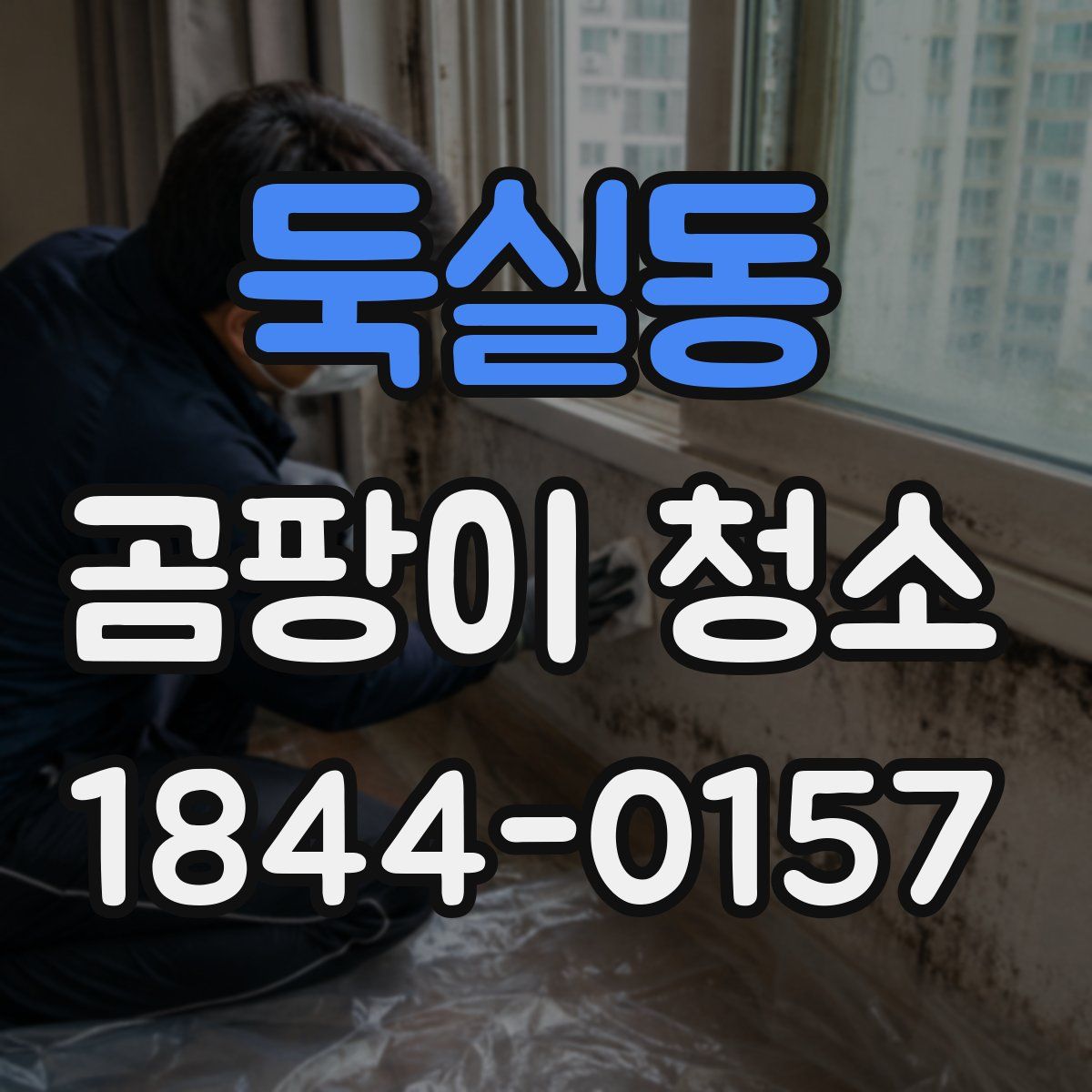 둑실동 곰팡이 청소