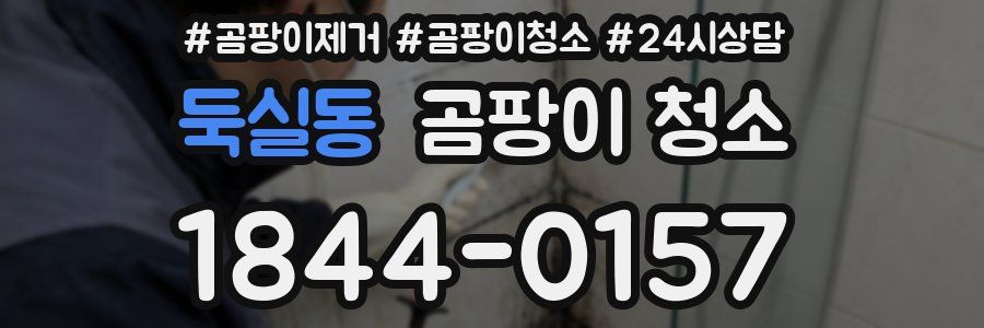둑실동 곰팡이 청소