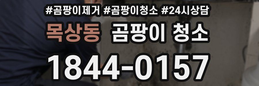 목상동 곰팡이 청소