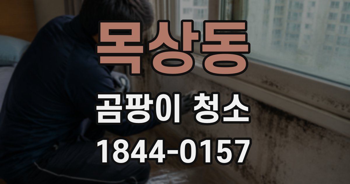 목상동 곰팡이 청소