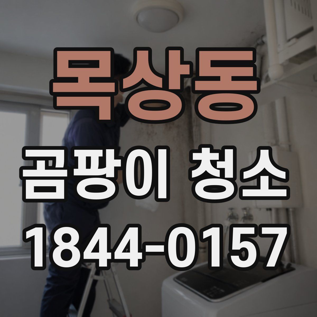 목상동 곰팡이 청소
