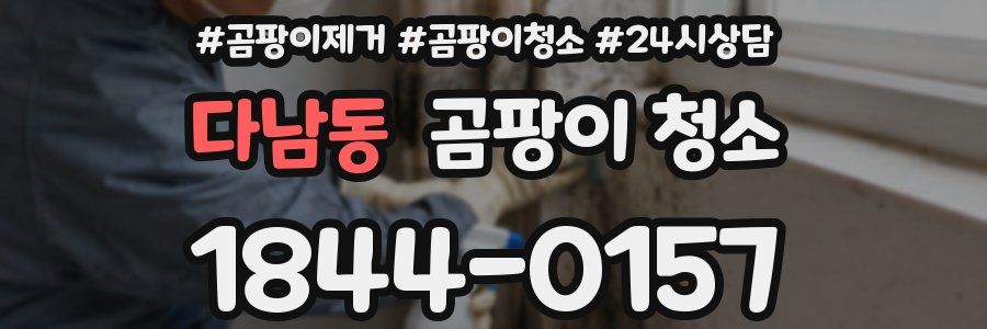 다남동 곰팡이 청소