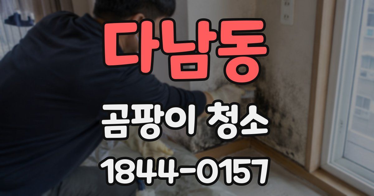 다남동 곰팡이 청소