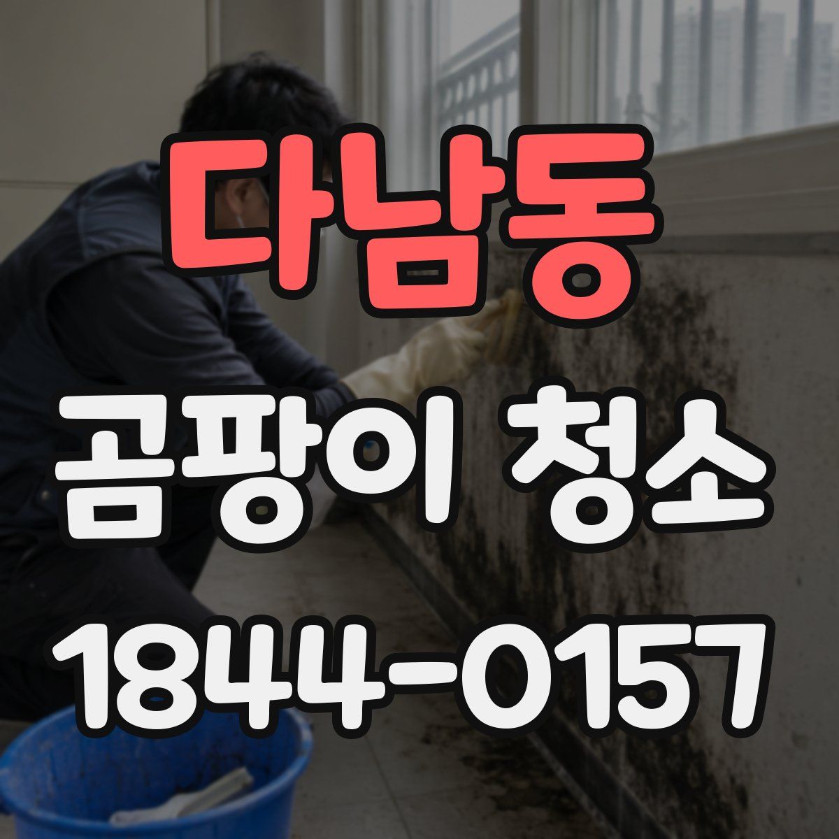 다남동 곰팡이 청소