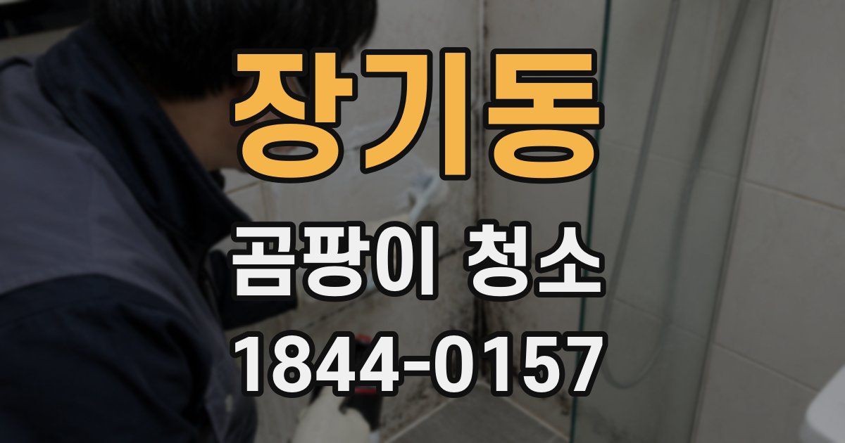 장기동 곰팡이 청소