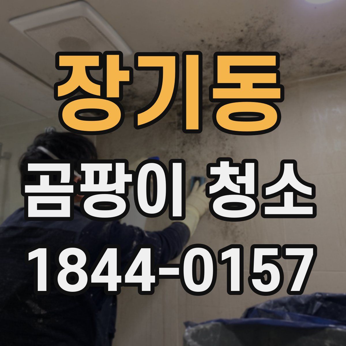 장기동 곰팡이 청소