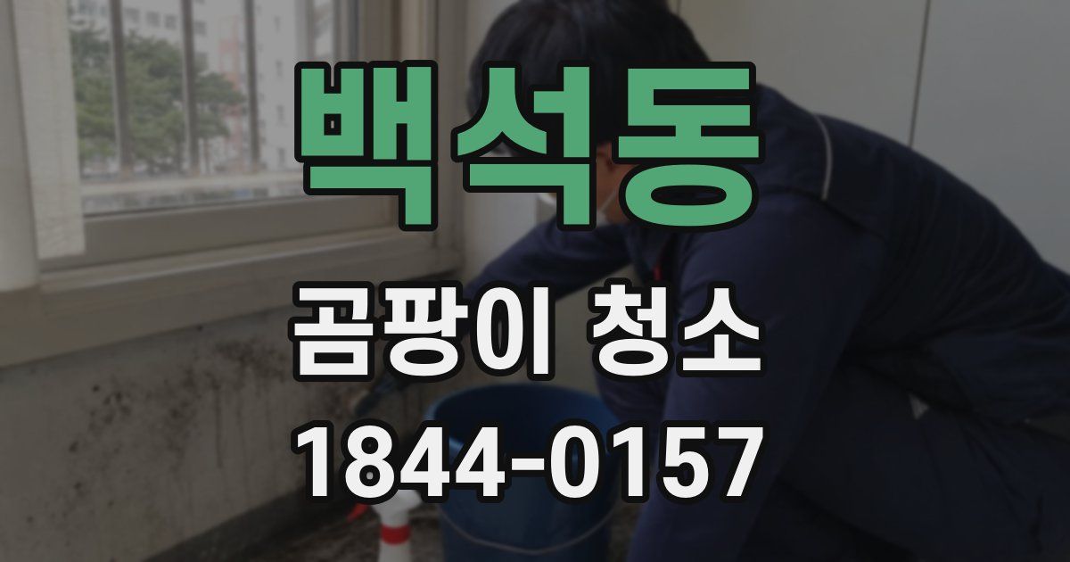 백석동 곰팡이 청소