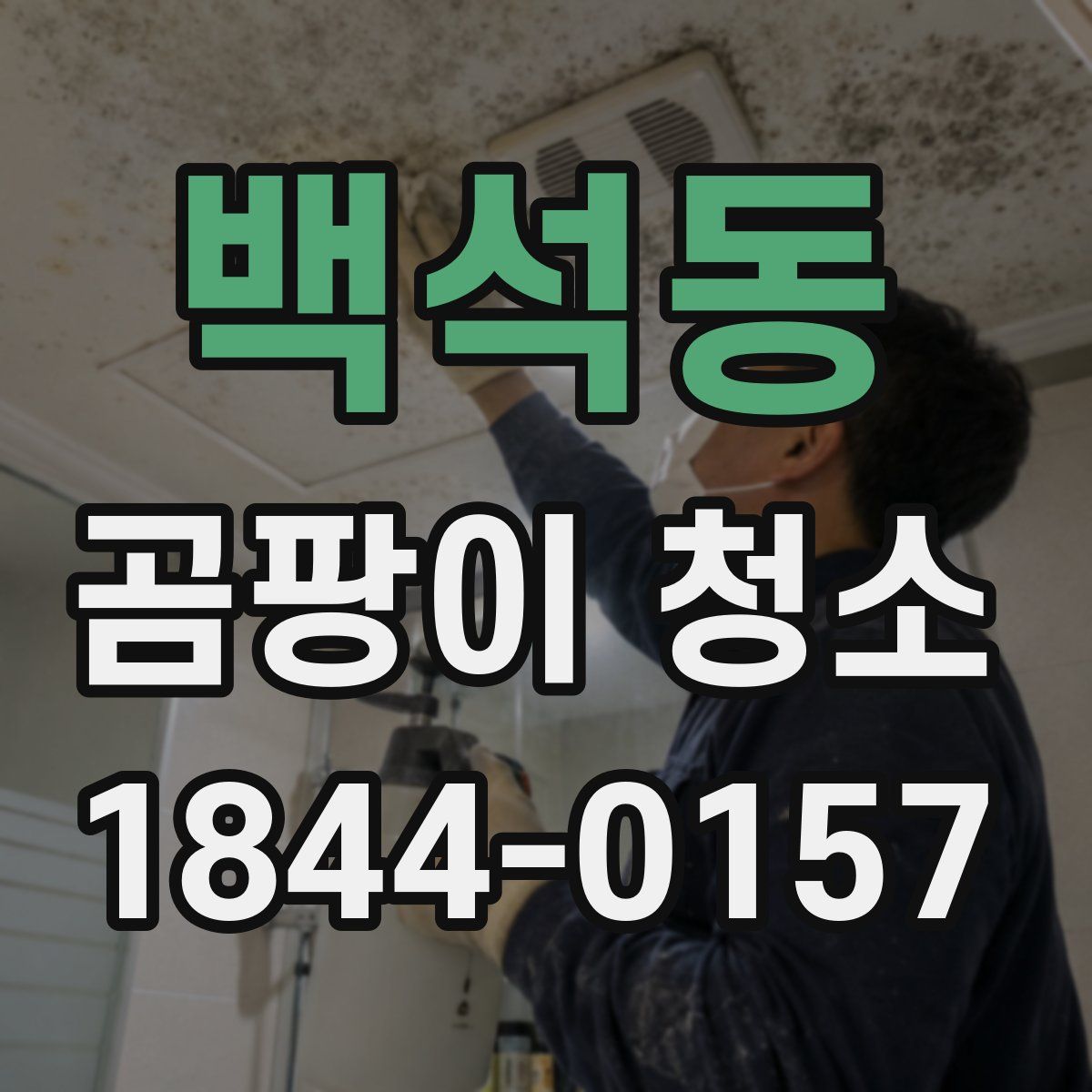 백석동 곰팡이 청소