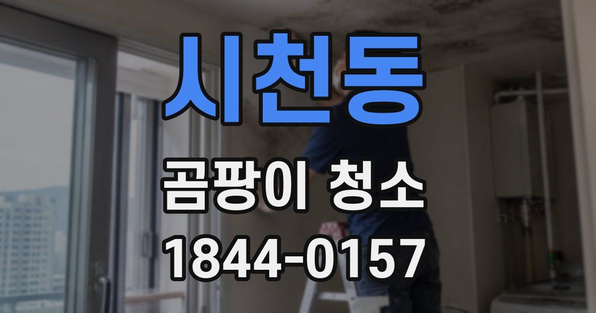시천동 곰팡이 청소
